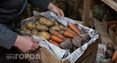 Овощи пролежат в подвале до мая: секрет с обычной газетой, который не дает им гнить