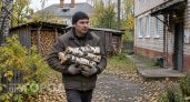Живу в многоквартирном доме с печкой: рассказываю, почему это удобнее центрального отопления в наши дни