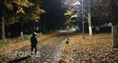В Канаше семилетнего ребенка забрали у матери из-за постоянных побоев