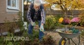 Избавилась от четырех популярных цветов в саду: теперь клумбы цветут до самых морозов и не требуют прополки