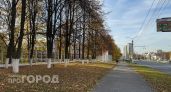 После ночных заморозков в воскресенье в Чувашии будет сухо и ясно