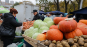 Эти три овоща надо есть, даже если не любишь: спасают сосуды и продлевают жизнь