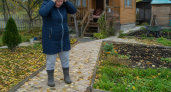 Мыши обходят дом за километр: хозяева рассыпают это по периметру – ни одной на кухне за весь сезон