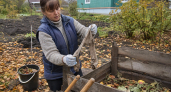 Скупаю капроновые колготки в «Светофоре» пачками, но не для ног: использую для компоста — огород работает как часы