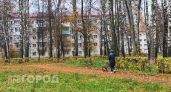 Завтра в Чувашии прольется дождь, а температура поднимется лишь до +13 градусов
