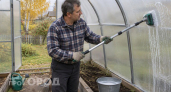 Весной забудете о фитофторе: пять простых дел в теплице до холодов, которые спасут ваш будущий урожай