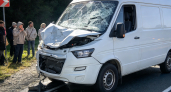 В Чувашии туристический автобус сбил лося, пассажиров пересадили в резервный рейс