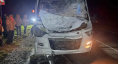 В Чувашии туристический автобус с 17 пассажирами сбил лося
