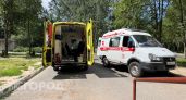 Суд Чувашии оштрафовал сельчанина за очередное оскорбление фельдшера скорой помощи