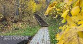 В лесах Чувашии продлили "желтый" уровень опасности до 19 октября