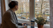 Скупаю соль в "Светофоре" пачками, но не для засолки: хитрый зимний трюк для дома