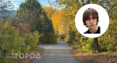 Поиск пропавшего подростка, нарушения на скотобойне и продажа исторической усадьбы: главные новости за 19 октября