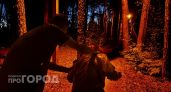 В Шемурше отец три месяца систематически избивал 13-летнего сына и жену