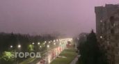 Чебоксарец судился с городскими властями из-за упавшего на машину дерева 