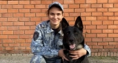 Служебная овчарка нашла в чебоксарской высотке пропавший электробайк школьника
