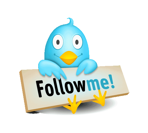 Раскрывать преступления в Чувашии поможет "твиттер"