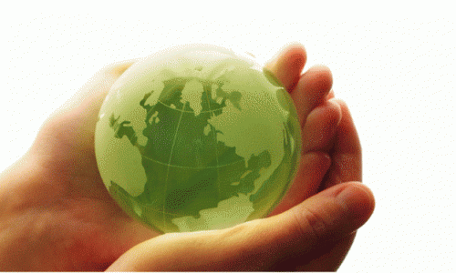 В Чувашии появится "заслуженный эколог"