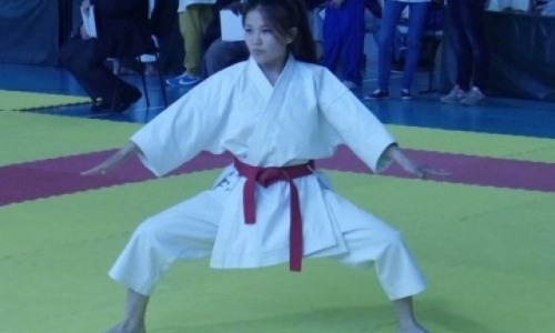 В Чебоксарах проходят международные соревнования по каратэ WKC