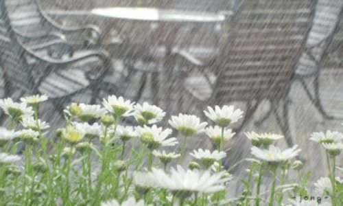 Суббота в Чувашии будет дождливой