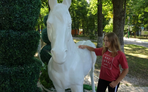 В "Лакреевском лесу" на фигурах лошадей установили ловушки для любителей фото