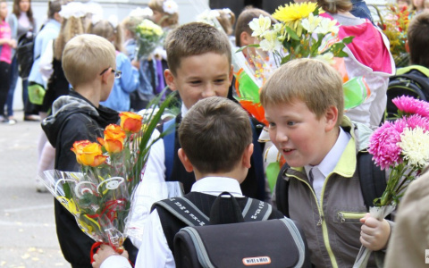 К 1 сентября в Чебоксары завезли цветы из Эквадора, Колумбии и Дании