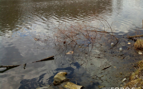 В Чебоксарском районе в пруду нашли тело мужчины