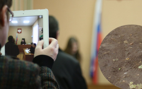 В Новочебоксарске директора полигона обвиняют в гибели ста деревьев