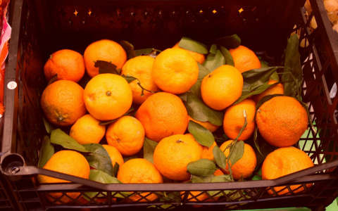 Сколько мандаринов можно купить на среднюю зарплату в Чувашии