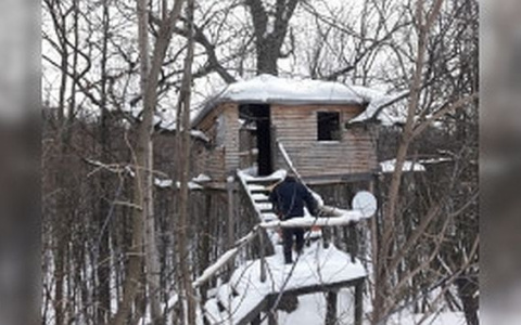 Власти приказали снести домик на дереве