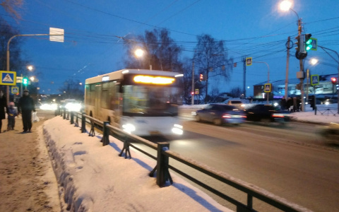 В Чебоксарах водитель ЛиАЗа проигнорировал остановку и заставил бежать за автобусом