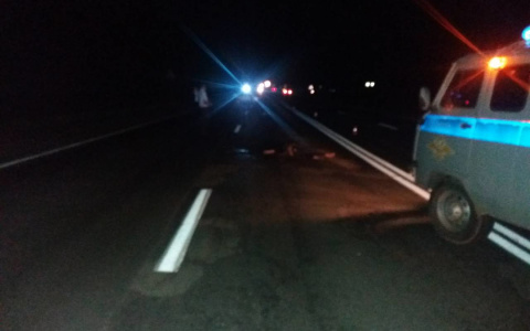 В Козловском районе мужчина шел по автодороге и погиб под фурой