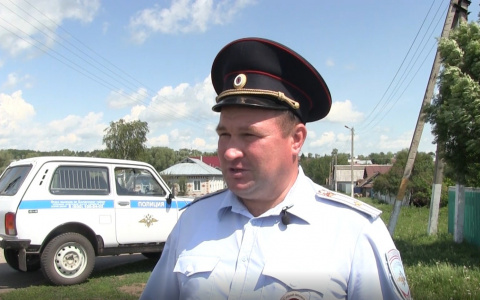 В Яльчикском районе двое жителей осуждены за нападение на полицейского