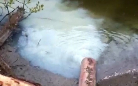 В Яльчикском районе течет молочная речка