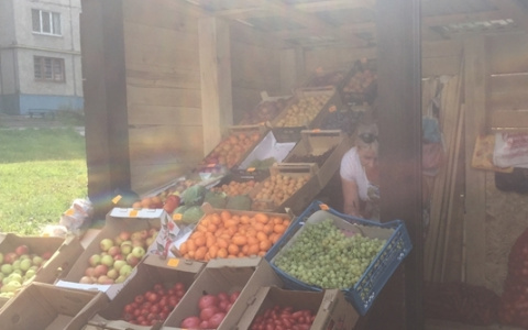 В Чебоксарах снова обнаружили нелегального продавца винограда, яблок и помидор