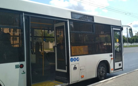 В день празднования юбилея Чебоксар будут ездить шесть бесплатных автобусов