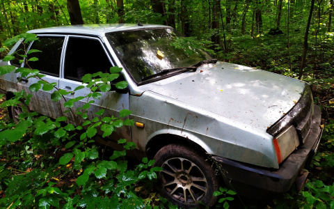 В Чебоксарах девушка пошла за грибами и обнаружила брошенный автомобиль