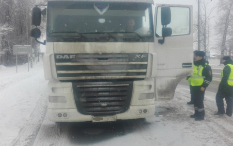 В Чувашии на трассе М7 задержали фуру с пьяным водителем