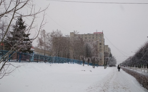 Синоптики: "Первые дни января оказались теплее ноября"