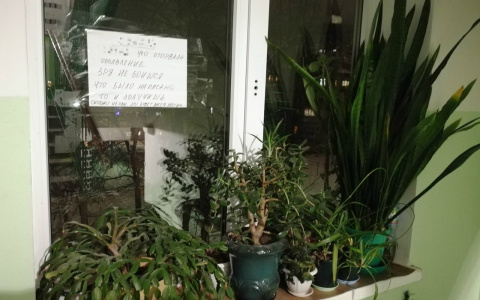 Чебоксарка: "Соседи-цветоводы оберегают растения с помощью записок с проклятиями"