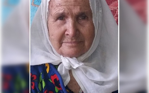 Семья пропавшей в Козловском районе женщины просит проверить видеорегистраторы