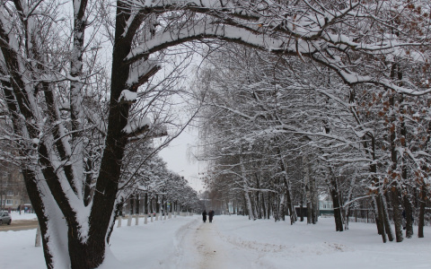 Большинство жителей Чувашии скучает по настоящей русской зиме
