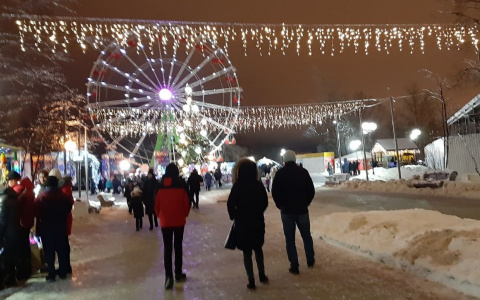 Жителей Чувашии спросят о семейных доходах