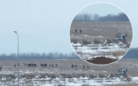 В Чебоксарах 60 человек собрались в поле для драки