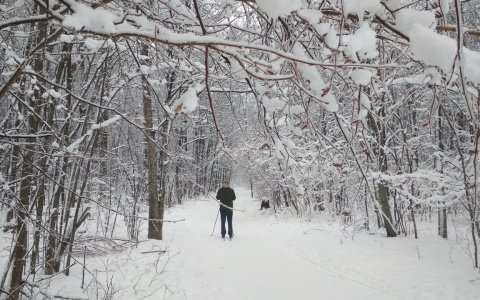 Синоптики пообещали на этой неделе возвращения зимней погоды