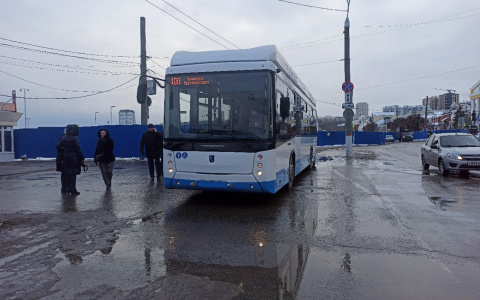 "Безрогий" троллейбус № 100 до сих пор не могут починить