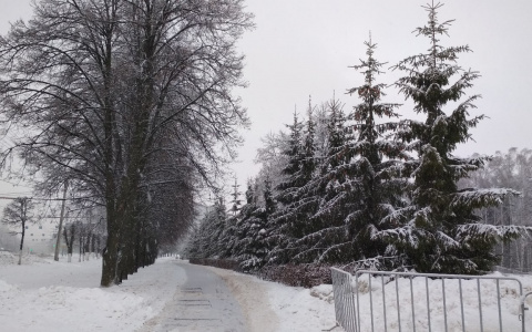 Теплый январь в Чувашии прервут 20-градусные морозы