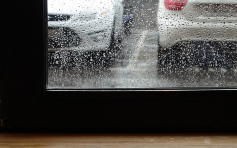 Жительница Чебоксар: «Меня замучила плесень на пластиковых окнах»