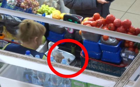 Продавщица с помощью груза обвешивает покупателей на рынке "Шупашкар"