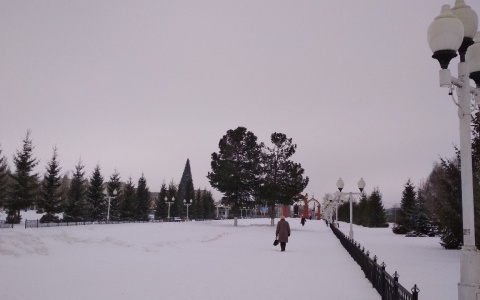 Мэрия Новочебоксарска продает три участка земли на 32 миллиона рублей