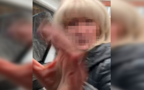 Водитель "Яндекс" рассказала свою версию драки: "Я - не ее раб!"